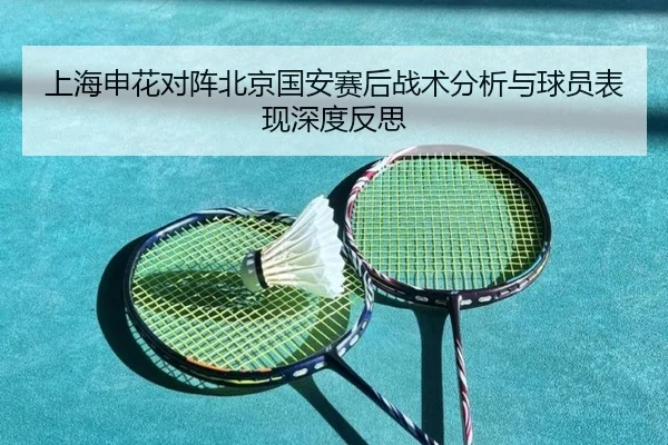 上海申花对阵北京国安赛后战术分析与球员表现深度反思 - MILAN SPORTS